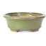 Oval green bonsai pot by Hattori - 130 x 102 x 35 mm