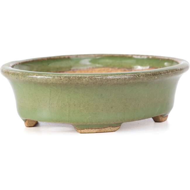 Ovale groene bonsaipot van Hattori - 130 x 102 x 35 mm