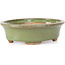 Oval green bonsai pot by Hattori - 130 x 102 x 35 mm