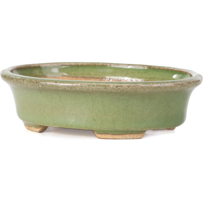 Pot à bonsaï ovale vert par Hattori - 130 x 102 x 35 mm