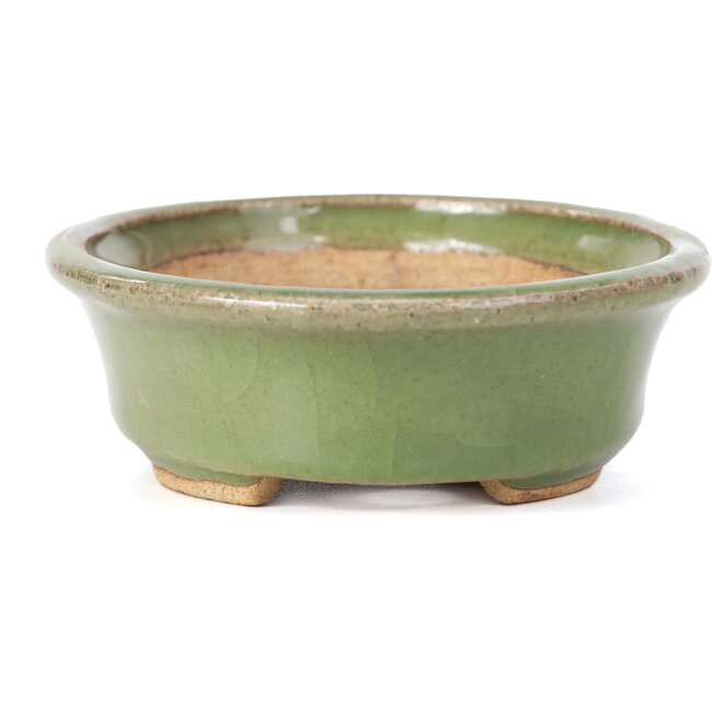 Maceta de bonsái verde ovalada de Hattori - 130 x 102 x 35 mm