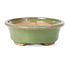 Pot à bonsaï ovale vert par Hattori - 130 x 102 x 35 mm