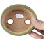 Pot à bonsaï vert ovale par Hattori - 108 x 93 x 36 mm