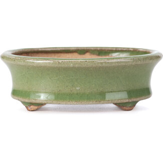  Hattori Tomoyuki 108 mm oval green bonsai pot by Hattori, Tokoname, Japan