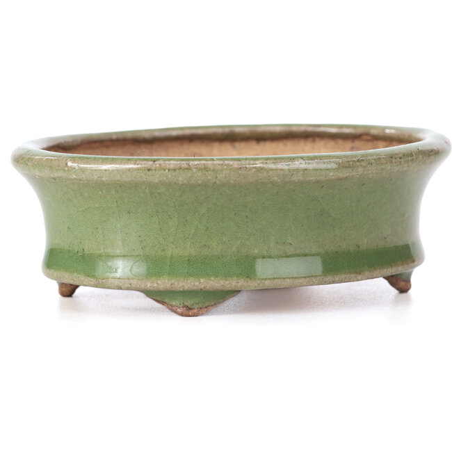 Ovale grüne Bonsaischale von Hattori - 108 x 93 x 36 mm