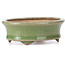 Oval green bonsai pot by Hattori - 108 x 93 x 36 mm