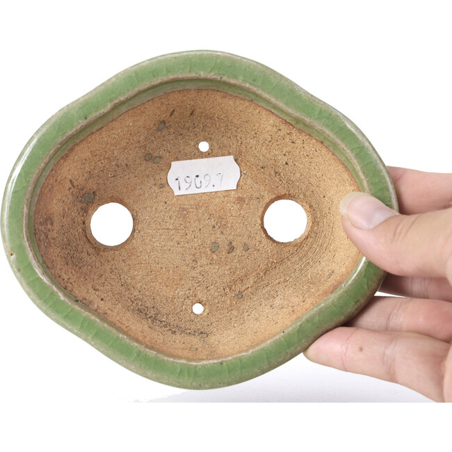 Maceta de bonsái verde Mokko de Hattori - 134 x 115 x 38 mm