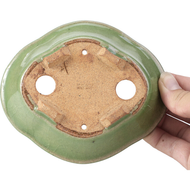 Maceta de bonsái verde Mokko de Hattori - 134 x 115 x 38 mm