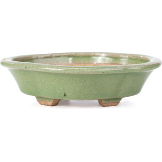  Hattori Tomoyuki 134 mm mokko green bonsai pot by Hattori, Tokoname, Japan