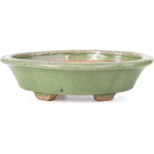 Vaso per bonsai Mokko verde di Hattori - 134 x 115 x 38 mm