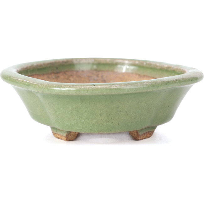 Maceta de bonsái verde Mokko de Hattori - 134 x 115 x 38 mm