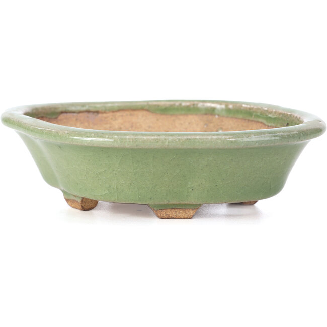 Vaso per bonsai Mokko verde di Hattori - 134 x 115 x 38 mm