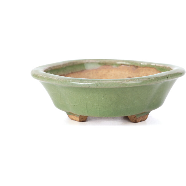 Mokko green bonsai pot by Hattori - 134 x 115 x 38 mm