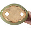 Pot à bonsaï ovale vert par Hattori - 132 x 102 x 35 mm