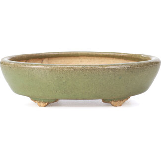 Hattori Tomoyuki 132 mm oval green bonsai pot by Hattori, Tokoname, Japan