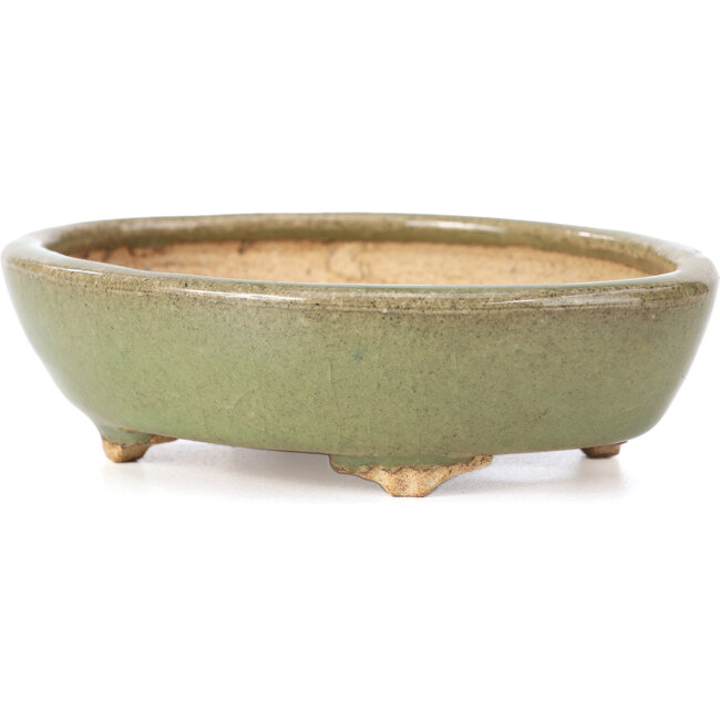 Ovale grüne Bonsaischale von Hattori - 132 x 102 x 35 mm