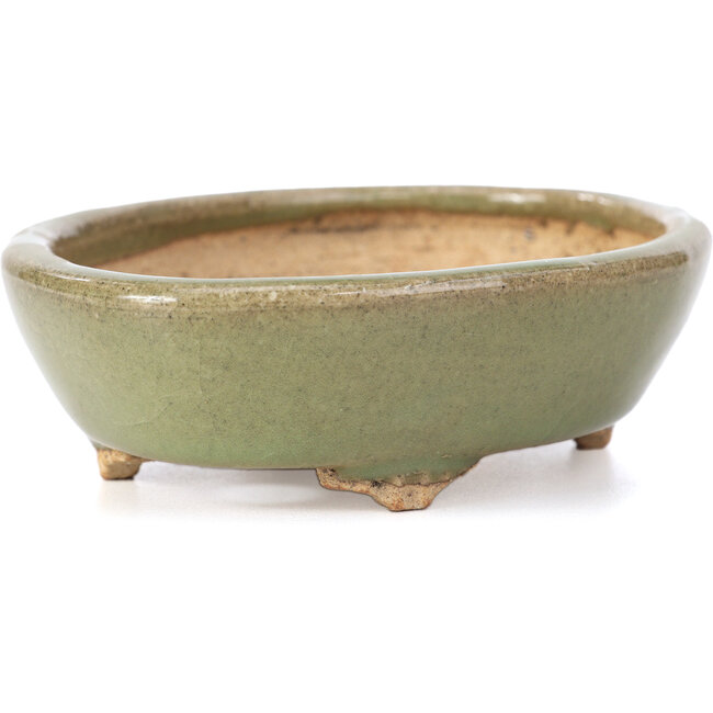 Ovale grüne Bonsaischale von Hattori - 132 x 102 x 35 mm