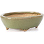 Pot à bonsaï ovale vert par Hattori - 132 x 102 x 35 mm