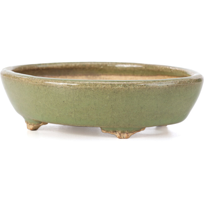 Ovale grüne Bonsaischale von Hattori - 132 x 102 x 35 mm