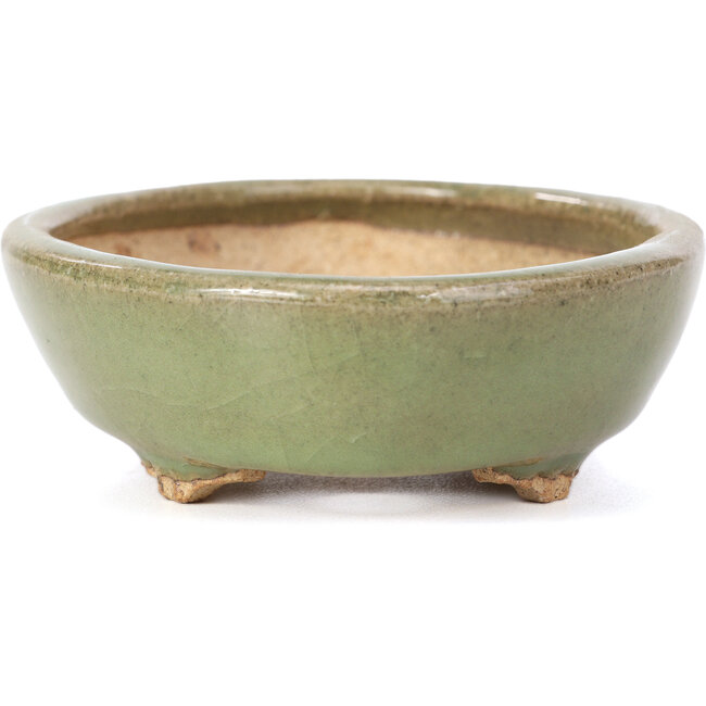 Oval green bonsai pot by Hattori - 132 x 102 x 35 mm