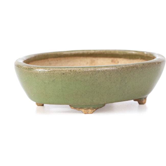 Pot à bonsaï ovale vert par Hattori - 132 x 102 x 35 mm