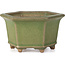 Maceta de bonsái verde hexagonal de Hattori - 130 x 114 x 73 mm