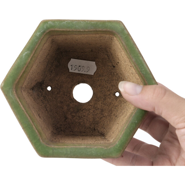 Pot à bonsaï hexagonal vert par Hattori - 130 x 114 x 73 mm