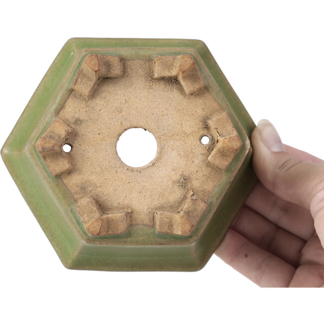 Sechseckige grüne Bonsaischale von Hattori - 130 x 114 x 73 mm