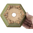 Pot à bonsaï hexagonal vert par Hattori - 130 x 114 x 73 mm