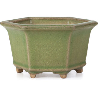  Hattori Tomoyuki 130 mm hexagonal green bonsai pot by Hattori, Tokoname, Japan