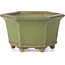 Maceta de bonsái verde hexagonal de Hattori - 130 x 114 x 73 mm