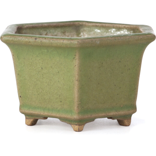 Maceta de bonsái verde hexagonal de Hattori - 130 x 114 x 73 mm