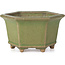 Maceta de bonsái verde hexagonal de Hattori - 130 x 114 x 73 mm