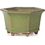 Hexagonal green bonsai pot by Hattori - 130 x 114 x 73 mm