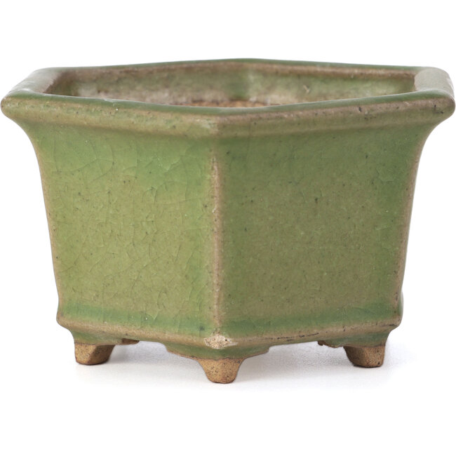Sechseckige grüne Bonsaischale von Hattori - 130 x 114 x 73 mm