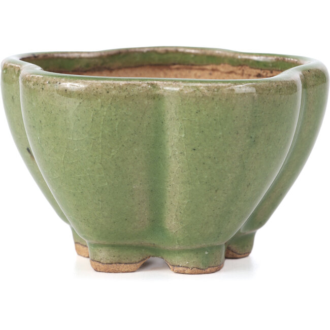 Lotus groene bonsai pot van Hattori - 110 x 110 x 70 mm