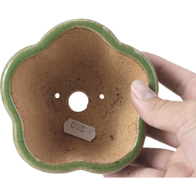 Lotus green bonsai pot by Hattori - 110 x 110 x 70 mm