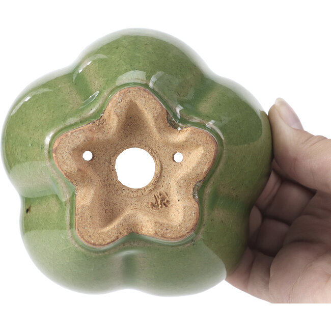 Maceta de bonsái verde loto de Hattori - 110 x 110 x 70 mm