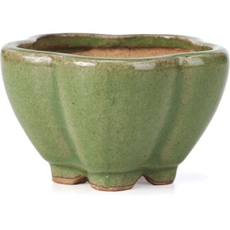  Hattori Tomoyuki 110 mm lotus green bonsai pot by Hattori, Tokoname, Japan