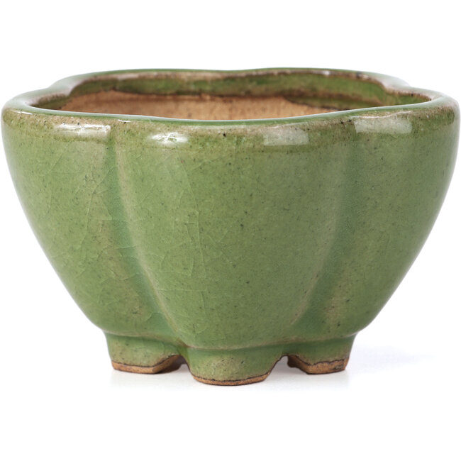 Lotus green bonsai pot by Hattori - 110 x 110 x 70 mm