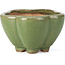 Lotus green bonsai pot by Hattori - 110 x 110 x 70 mm