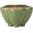 Lotus groene bonsai pot van Hattori - 110 x 110 x 70 mm