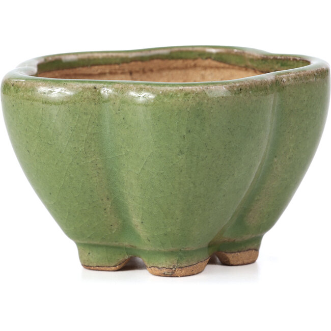 Lotus groene bonsai pot van Hattori - 110 x 110 x 70 mm