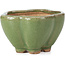 Vaso per bonsai verde loto di Hattori - 110 x 110 x 70 mm