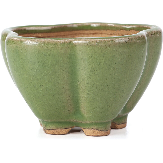 Maceta de bonsái verde loto de Hattori - 110 x 110 x 70 mm