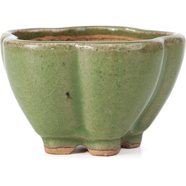 Lotus groene bonsai pot van Hattori - 110 x 110 x 70 mm