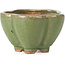 Lotus green bonsai pot by Hattori - 110 x 110 x 70 mm