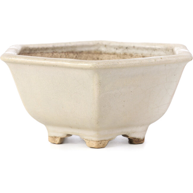 Vaso per bonsai esagonale bianco di Hattori - 155 x 140 x 70 mm