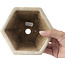 Pot à bonsaï blanc hexagonal par Hattori - 155 x 140 x 70 mm