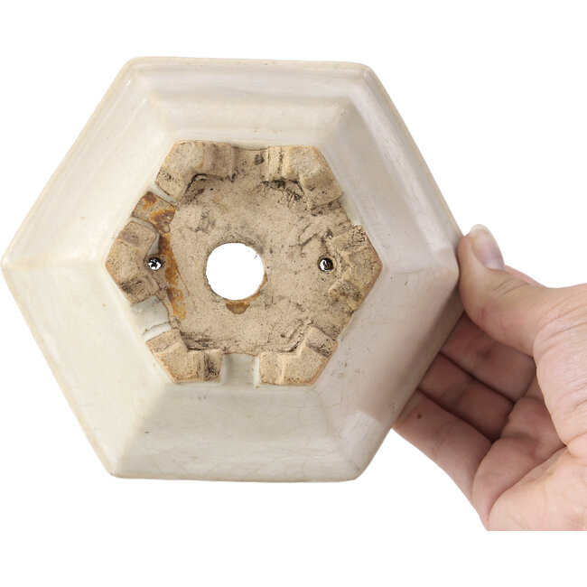 Maceta de bonsái blanca hexagonal de Hattori - 155 x 140 x 70 mm